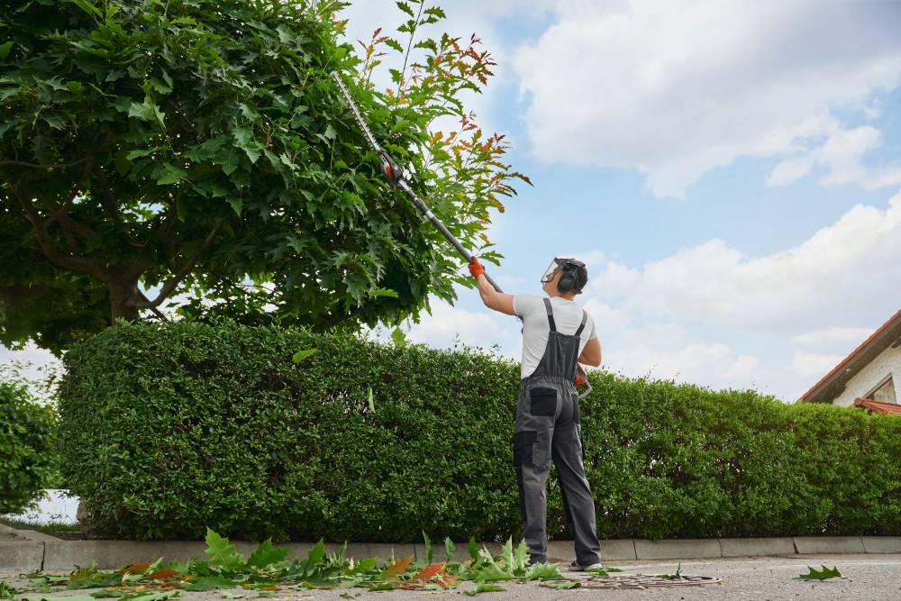 sciage et fendage bois de chauffage Fismes